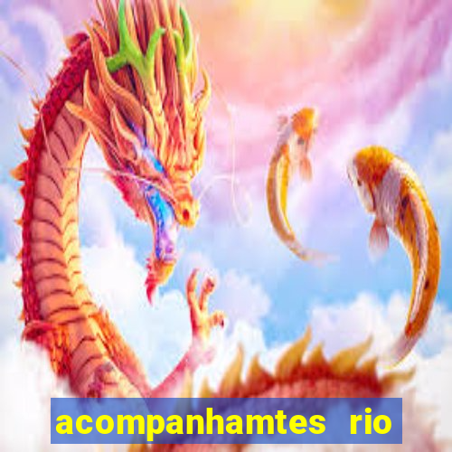 acompanhamtes rio de janeiro